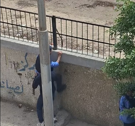 WhatsApp Image 2026-04-17 at 1.43.38 PM (4)